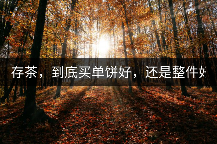 存茶，到底買(mǎi)單餅好，還是整件好？