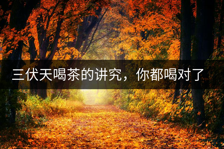 三伏天喝茶的講究，你都喝對了嗎？