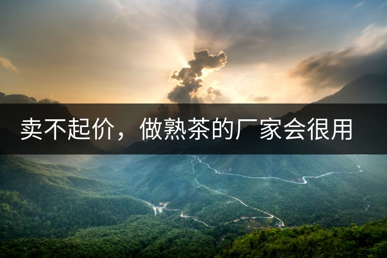 賣不起價，做熟茶的廠家會很用心生產(chǎn)熟茶嗎？