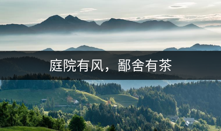庭院有風(fēng)，鄙舍有茶