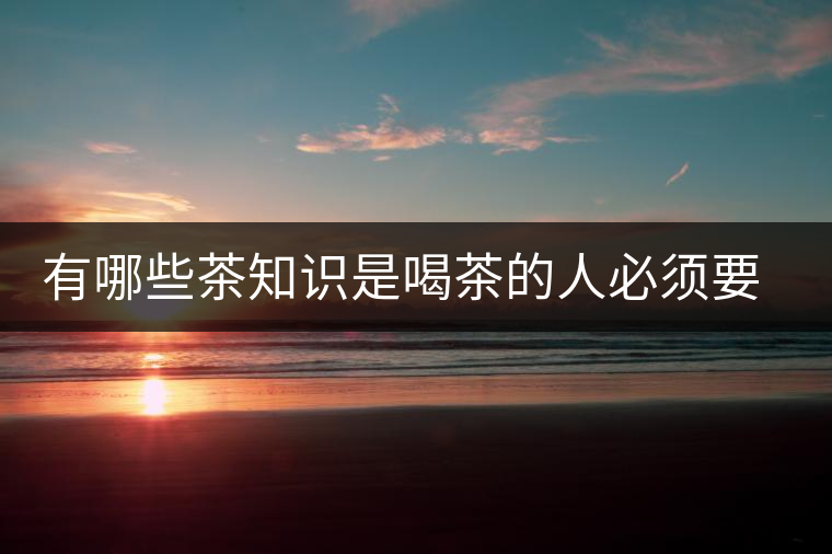 有哪些茶知識是喝茶的人必須要懂的？