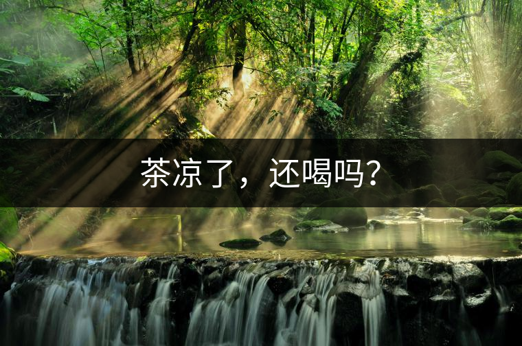 茶涼了，還喝嗎？