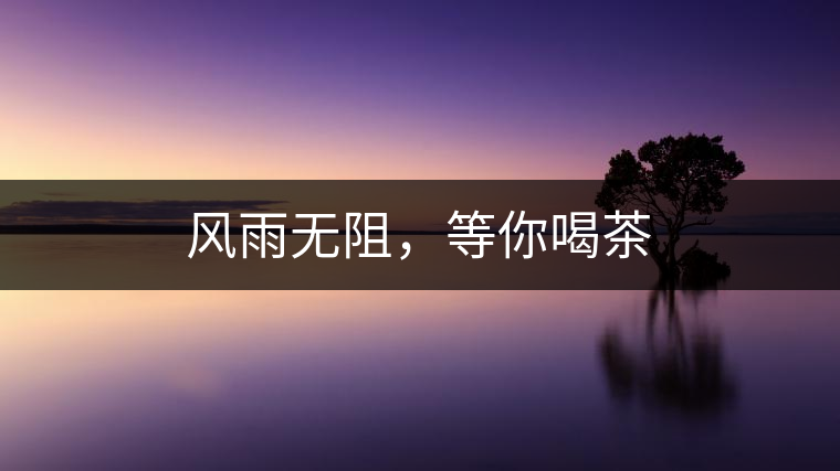 風(fēng)雨無阻，等你喝茶