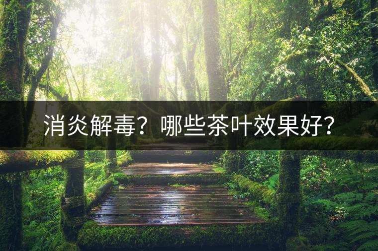 消炎解毒？哪些茶葉效果好？