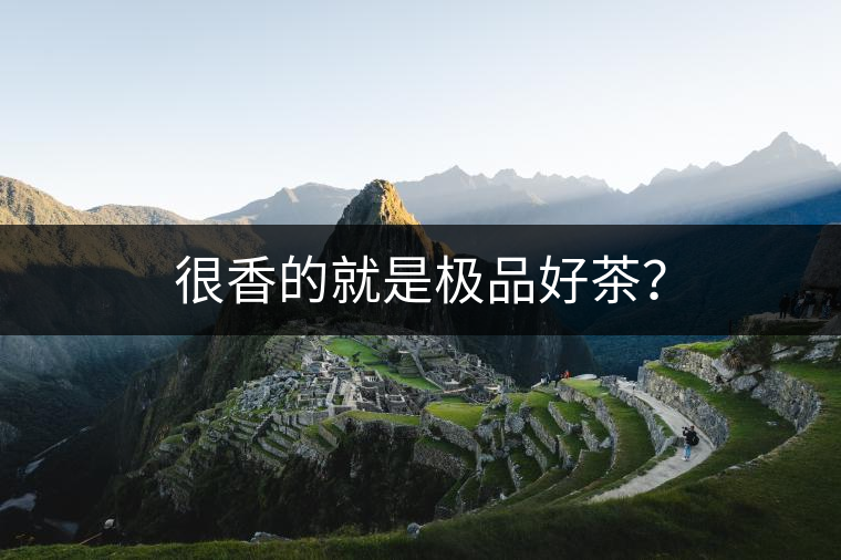 很香的就是極品好茶？