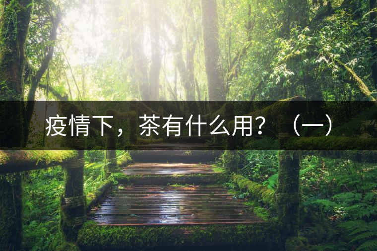 疫情下，茶有什么用？（一）