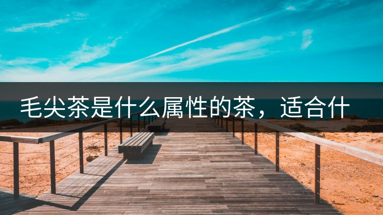 毛尖茶是什么屬性的茶，適合什么群體品飲？