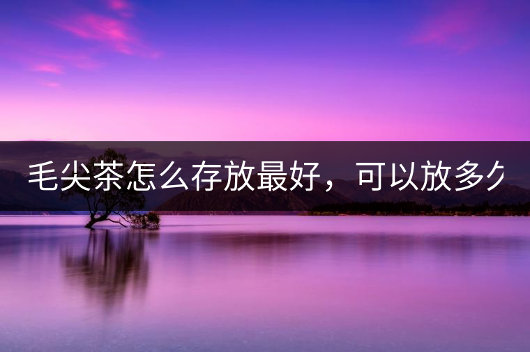 毛尖茶怎么存放最好，可以放多久？