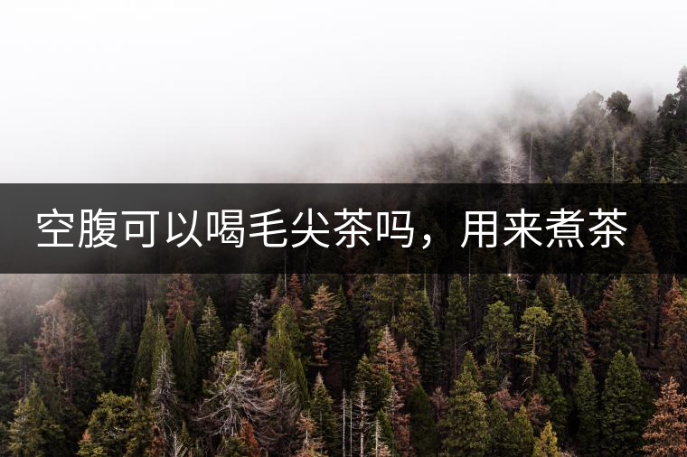 空腹可以喝毛尖茶嗎，用來煮茶葉蛋怎么樣？