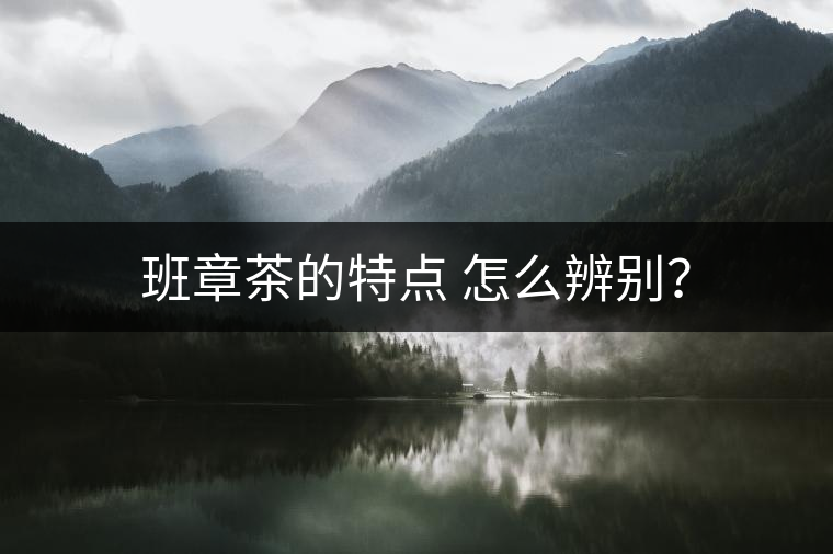 班章茶的特點(diǎn) 怎么辨別？