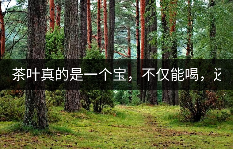 茶葉真的是一個(gè)寶，不僅能喝，還能用！