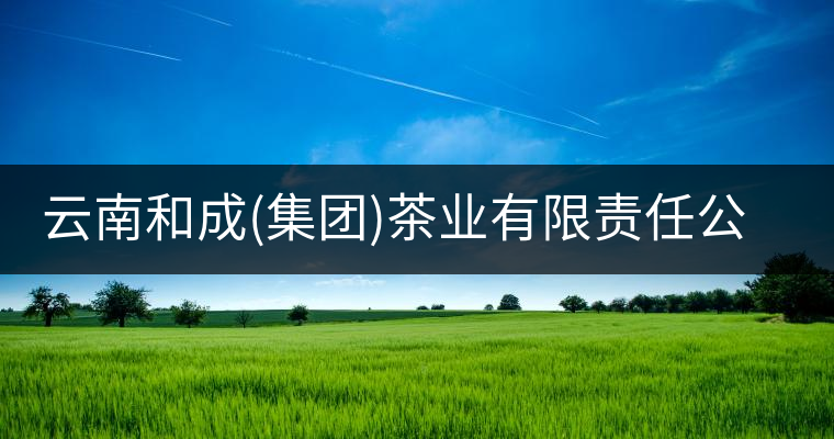 云南和成(集團)茶業(yè)有限責任公司