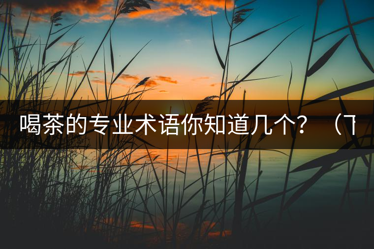 喝茶的專業(yè)術語你知道幾個？（下篇）