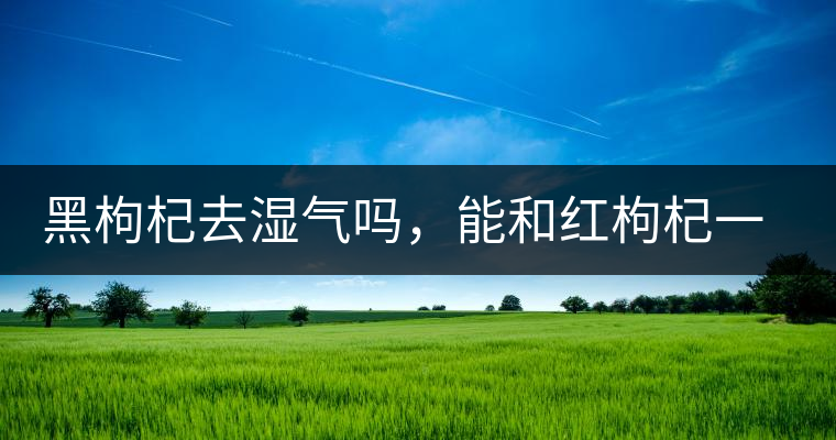 黑枸杞去濕氣嗎，能和紅枸杞一起泡嗎？