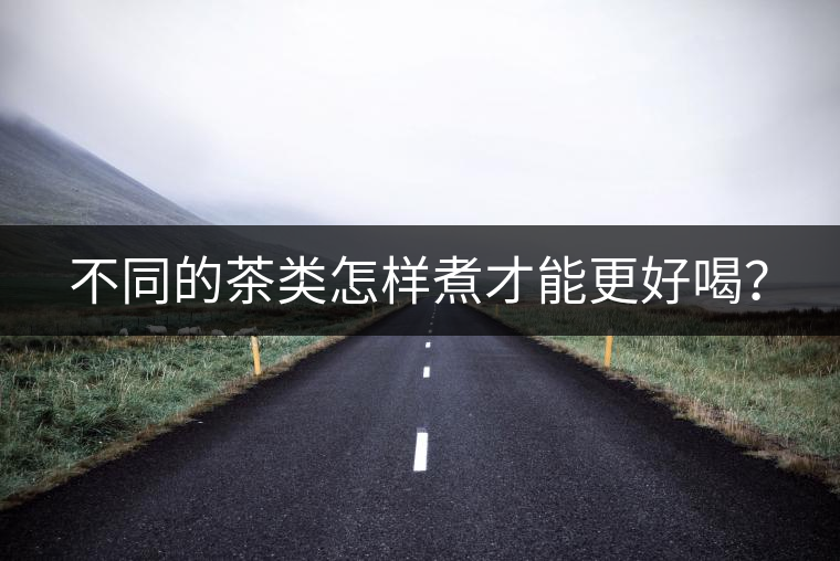 不同的茶類怎樣煮才能更好喝？