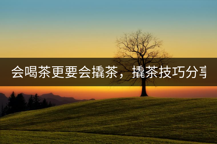 會喝茶更要會撬茶，撬茶技巧分享！