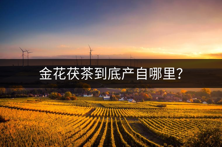 金花茯茶到底產(chǎn)自哪里？