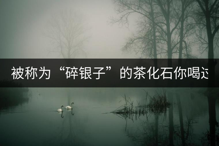 被稱為“碎銀子”的茶化石你喝過(guò)嗎？