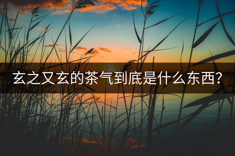 玄之又玄的茶氣到底是什么東西？