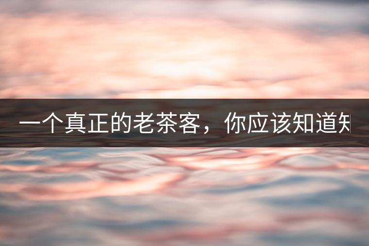一個真正的老茶客，你應(yīng)該知道知識點！