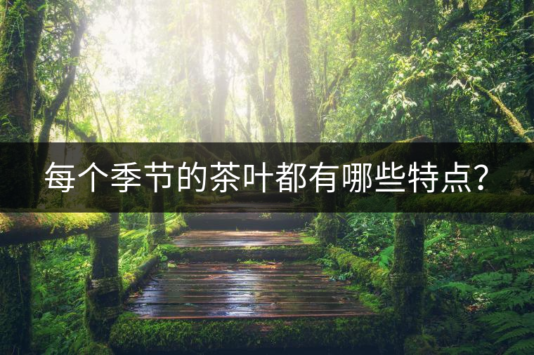 每個(gè)季節(jié)的茶葉都有哪些特點(diǎn)？