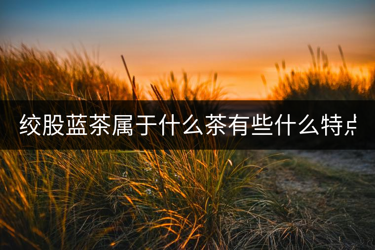 絞股藍(lán)茶屬于什么茶有些什么特點(diǎn)？