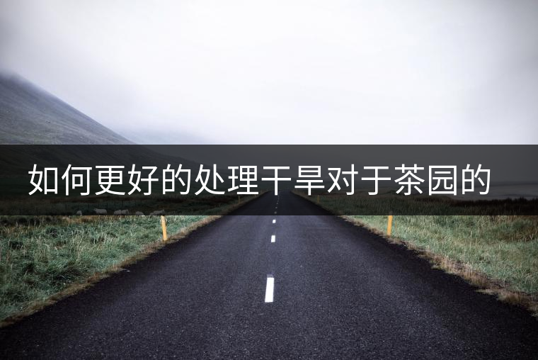 如何更好的處理干旱對于茶園的影響？