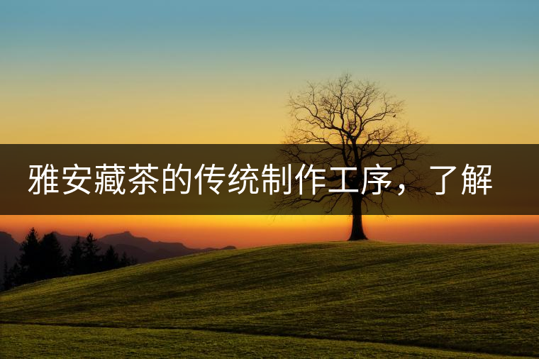 雅安藏茶的傳統(tǒng)制作工序，了解了傳統(tǒng)技藝才能更好的了解茶品！