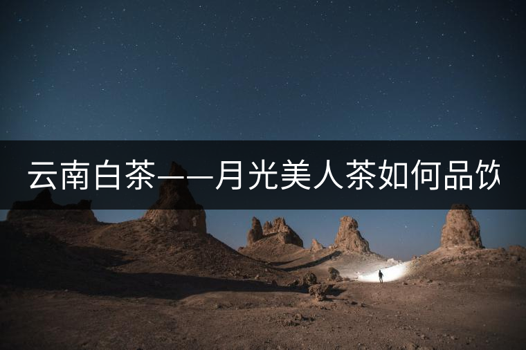 云南白茶——月光美人茶如何品飲？