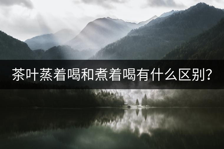 茶葉蒸著喝和煮著喝有什么區(qū)別？