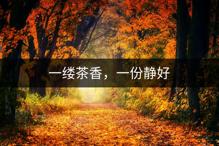一縷茶香，一份靜好