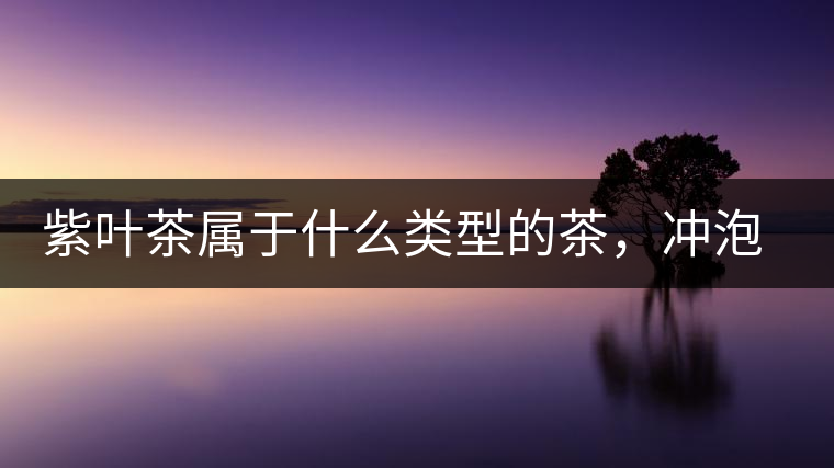 紫葉茶屬于什么類型的茶，沖泡需要注意什么？