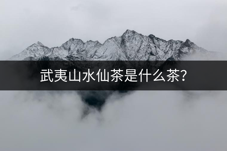 武夷山水仙茶是什么茶？