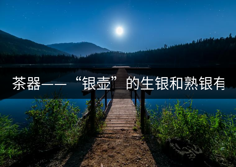 茶器——“銀壺”的生銀和熟銀有什么區(qū)別嗎？