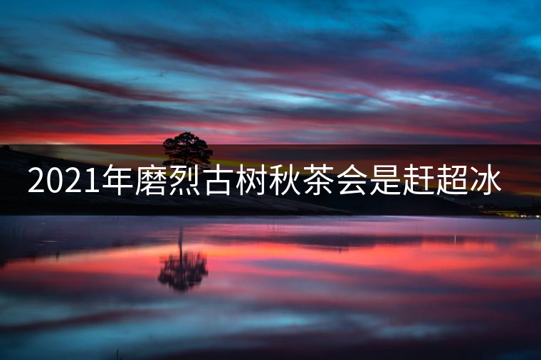 2021年磨烈古樹秋茶會是趕超冰島的存在嗎？