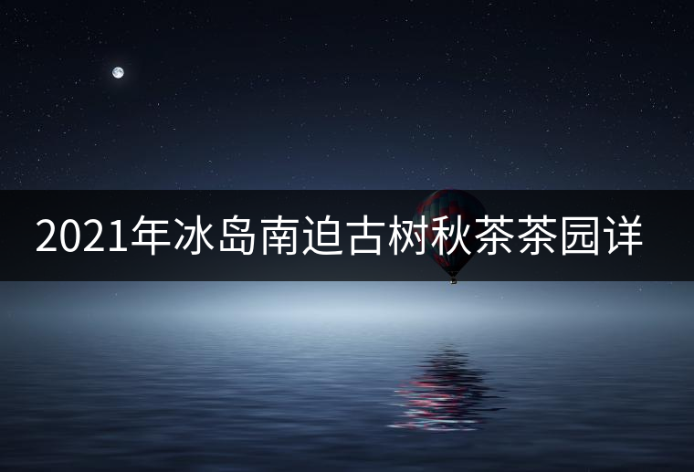 2021年冰島南迫古樹秋茶茶園詳解！