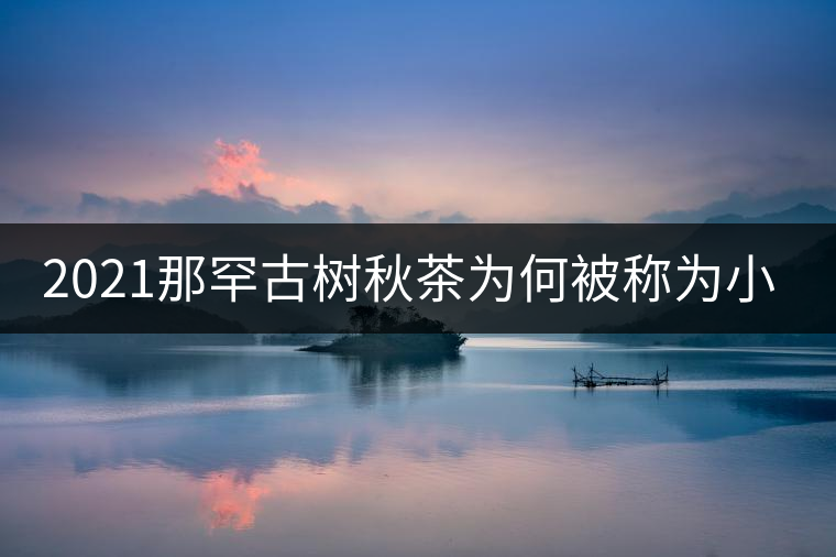 2021那罕古樹秋茶為何被稱為小昔歸？