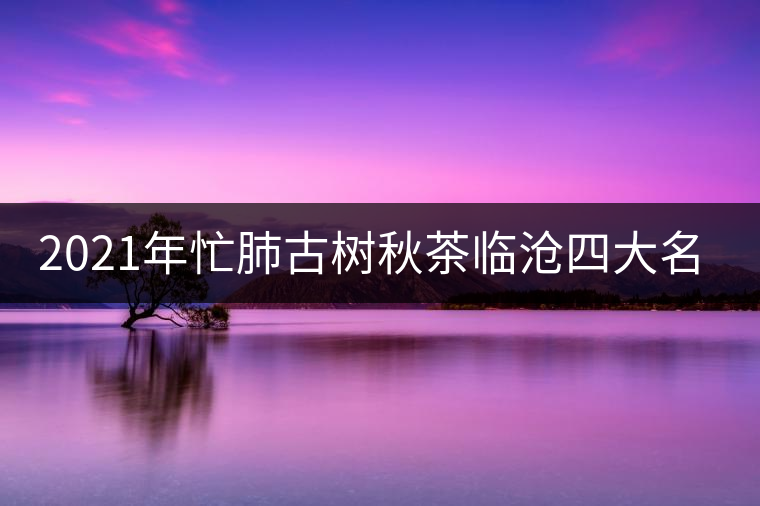 2021年忙肺古樹秋茶臨滄四大名茶之一！