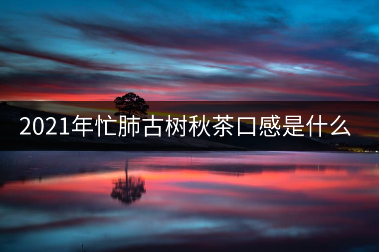 2021年忙肺古樹(shù)秋茶口感是什么?