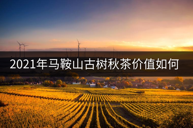 2021年馬鞍山古樹秋茶價(jià)值如何？
