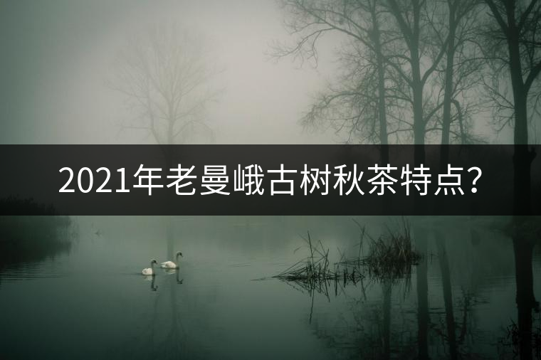2021年老曼峨古樹秋茶特點(diǎn)？