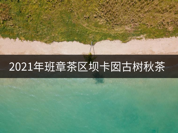 2021年班章茶區(qū)壩卡囡古樹秋茶多少錢一公斤？