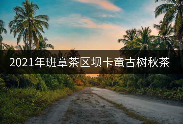 2021年班章茶區(qū)壩卡竜古樹(shù)秋茶價(jià)格是多少？