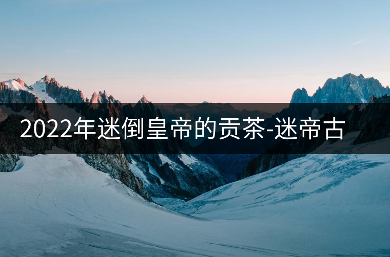 2022年迷倒皇帝的貢茶-迷帝古樹春茶特點(diǎn)？