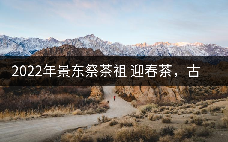 2022年景東祭茶祖 迎春茶，古樹春茶多少錢一公斤？