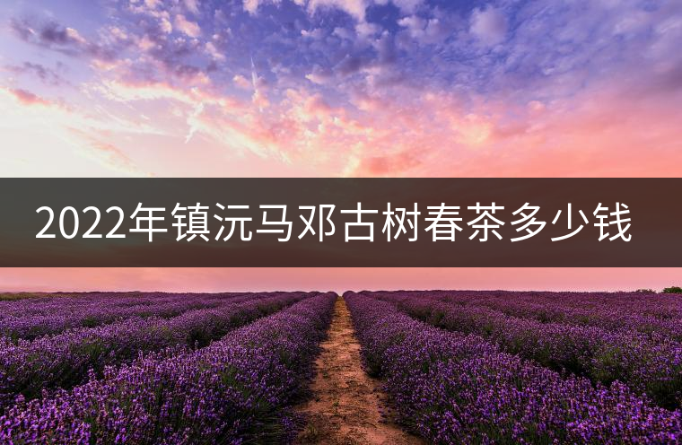 2022年鎮(zhèn)沅馬鄧古樹(shù)春茶多少錢(qián)一公斤？