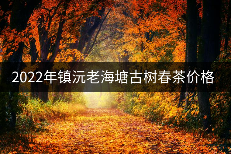 2022年鎮(zhèn)沅老海塘古樹春茶價(jià)格？