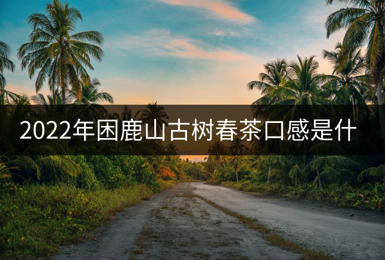 2022年困鹿山古樹春茶口感是什么？