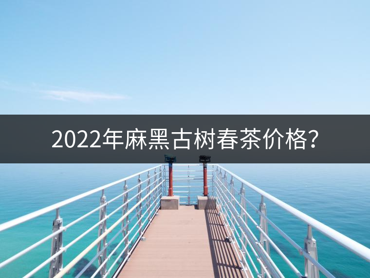 2022年麻黑古樹(shù)春茶價(jià)格？