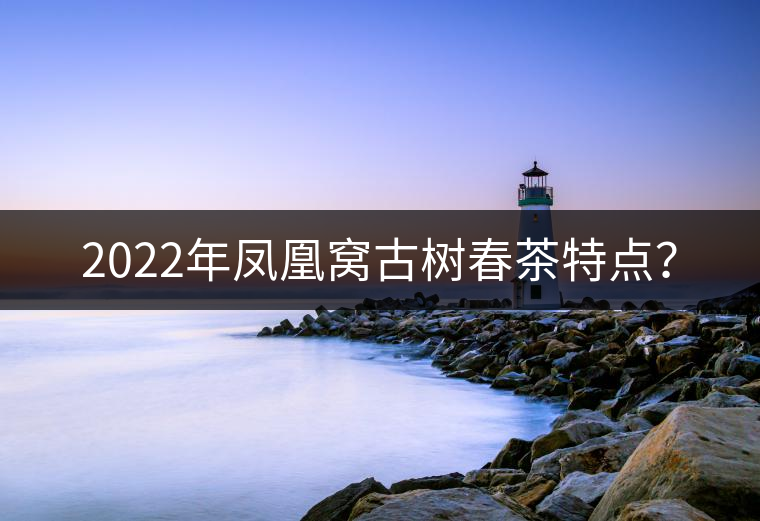 2022年鳳凰窩古樹春茶特點？